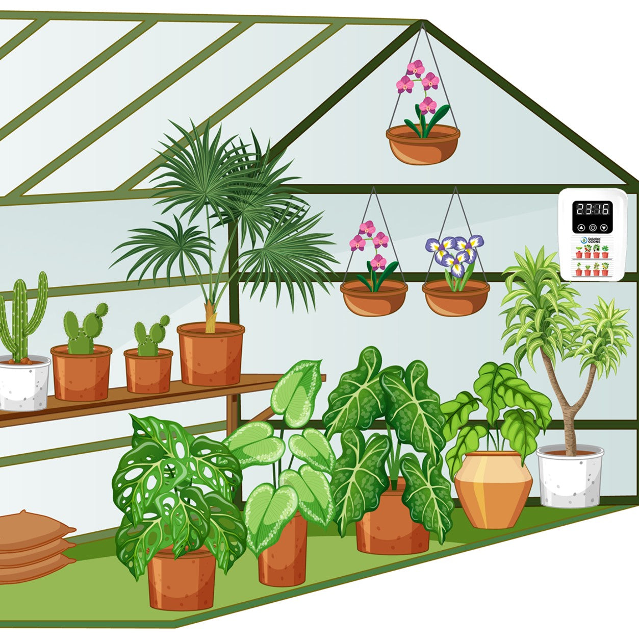 Sistema O₃ para Estufas Domésticas (<10m²) | Plantas mais saudáveis e produtivas