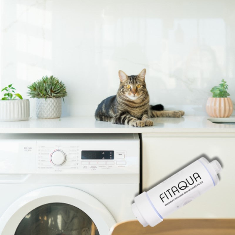 Filtro para Máquinas | Prolongue a vida útil da sua máquina de lavar roupa ou loiça