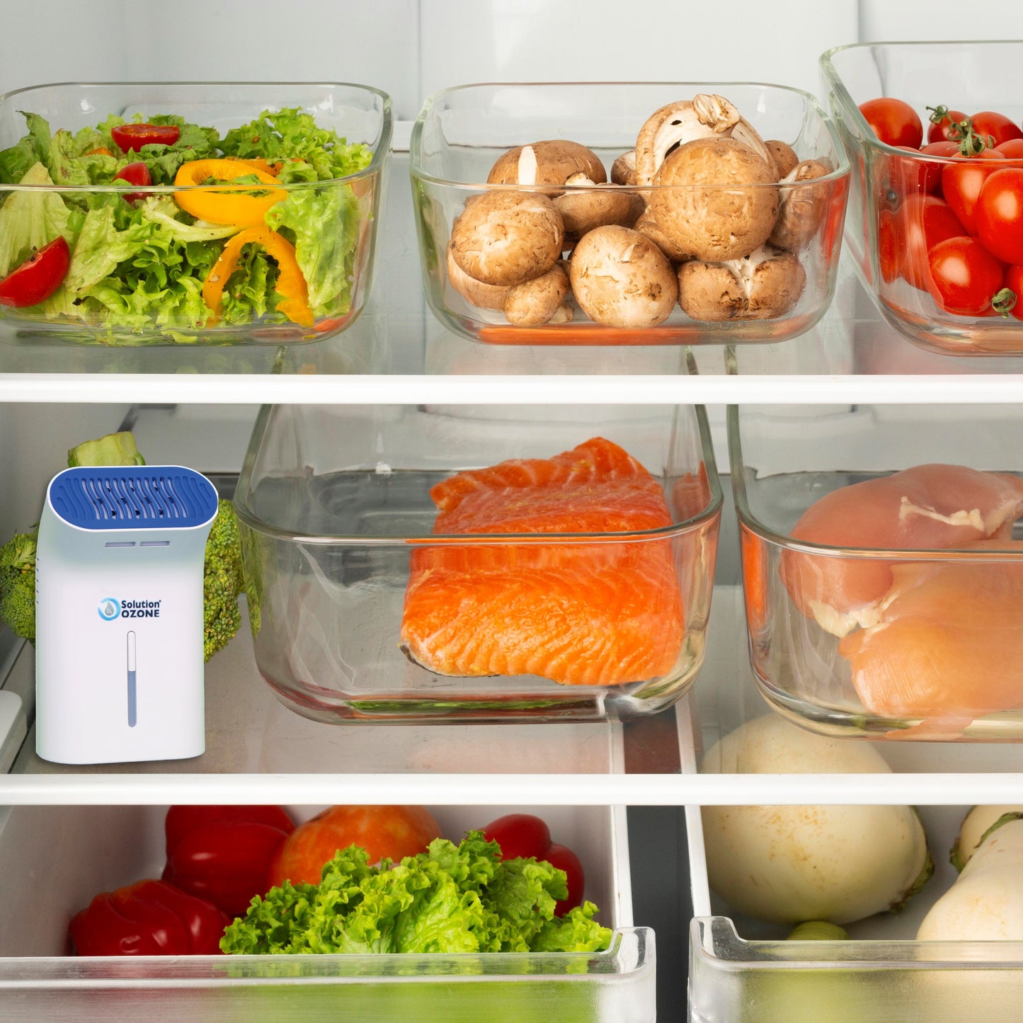 PureFridge – Gerador de Ozono para Frigoríficos | Frescura Prolongada e Zero Odores