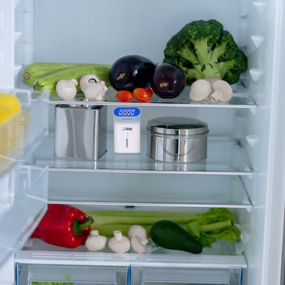 PureFridge – Gerador de Ozono para Frigoríficos | Frescura Prolongada e Zero Odores